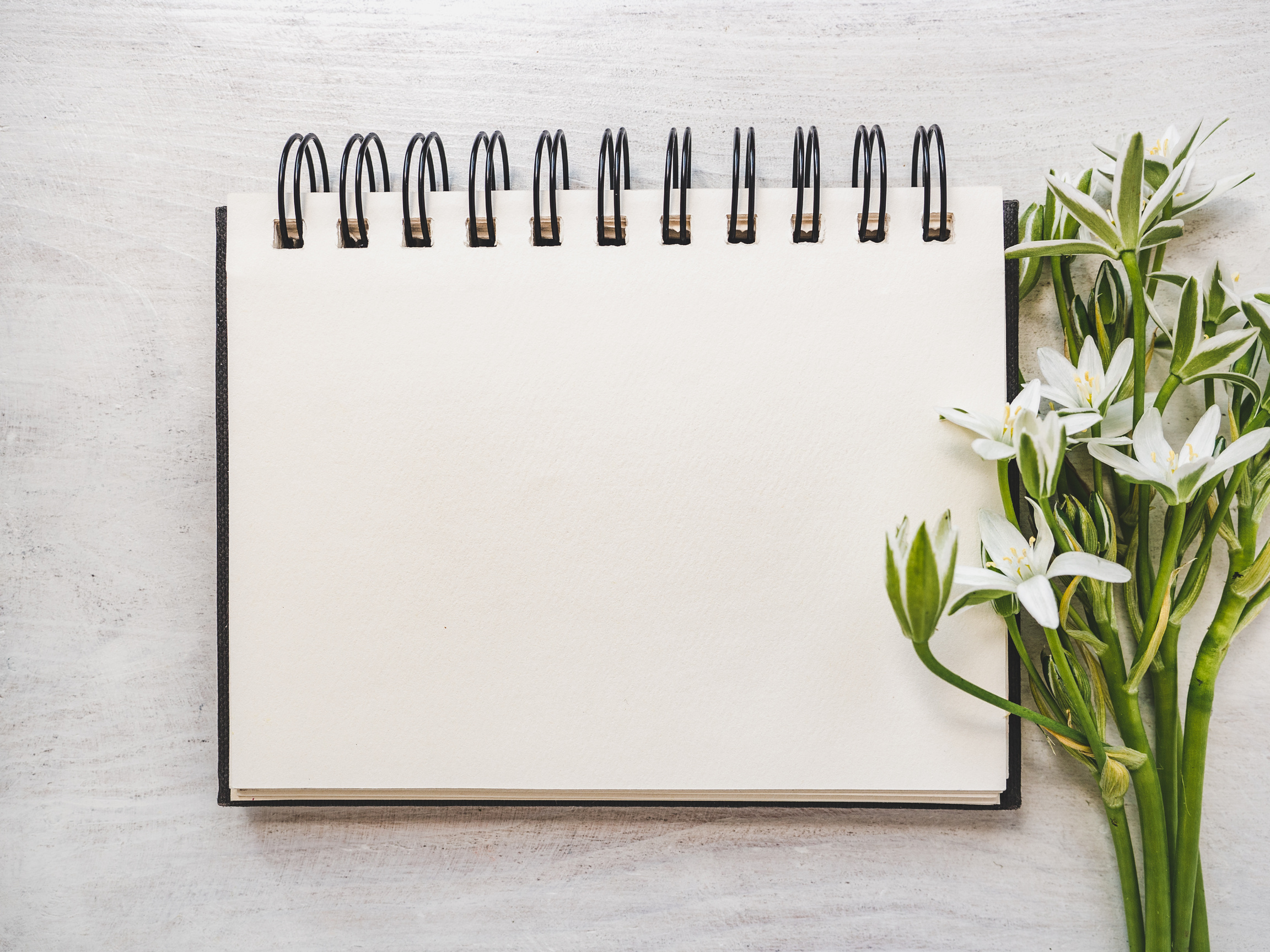 Blank Notepad Sheet for Messages 